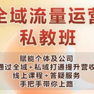 全域流量运营操盘课 打通全域+私域助力个体及企业提升营收-雨叶虚拟资源网