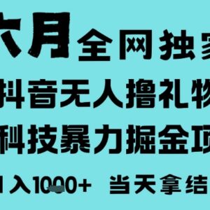 2025年6月抖音无人直播撸音浪项目 低门槛小白可做可矩阵放大-雨叶虚拟资源网