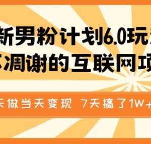 2025男粉计划6.0实操玩法 原创视频引流私域当天变现教程-雨叶虚拟资源网