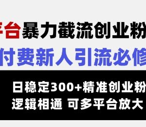 SOUL交友平台截流创业粉玩法 知识付费新人引流实操教程-雨叶虚拟资源网