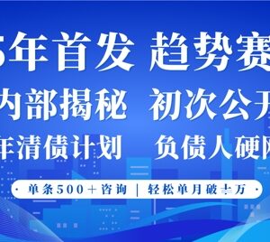 2025年政策导向负债服务创业赛道 低门槛易上手单月收益轻松破万-雨叶虚拟资源网