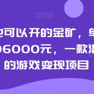 普通人可做的低门槛游戏变现项目 单号年收益最高可达96000元-雨叶虚拟资源网