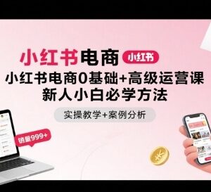 小红书电商0基础到高阶运营教程 小白开店实操带案例解析-雨叶虚拟资源网