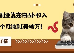 适合小白的宠物占卜副业玩法 从兴趣变现收入翻3倍月纯利破万-雨叶虚拟资源网