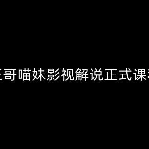 汪哥影视解说正式课程 剪映PR剪辑全流程技巧实操教学-雨叶虚拟资源网