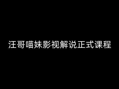 汪哥影视解说正式课程 剪映PR剪辑全流程技巧实操教学