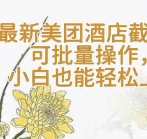 2025美团酒店批量截图操作教程 小白零门槛可轻松上手-雨叶虚拟资源网