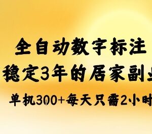 全自动数字标注蓝海副业拆解 居家可做的稳定长期增收项目指南-雨叶虚拟资源网