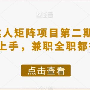 小红书达人矩阵项目第二期详解 兼职全职均可低门槛上手变现-雨叶虚拟资源网