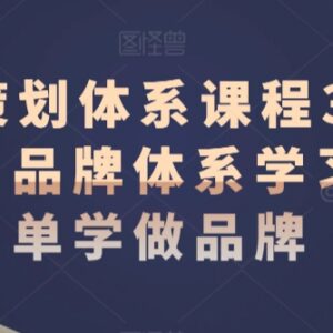 品牌策划体系3.0升级版课程 系统学习品牌搭建全流程方法-雨叶虚拟资源网