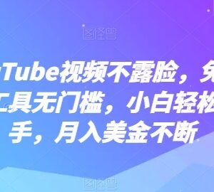YouTube不露脸做视频赚美金实操 免费AI工具无门槛小白轻松上手-雨叶虚拟资源网