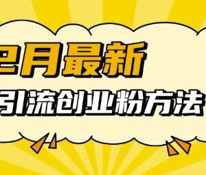 2024年12月最新多平台引流创业粉方法 易上手可批量操作规避风控-雨叶虚拟资源网