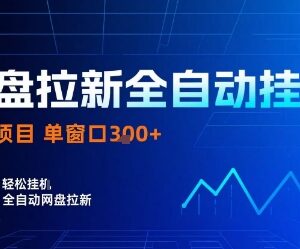 网盘拉新全自动脚本玩法揭秘 操作逻辑及单窗口收益说明-雨叶虚拟资源网