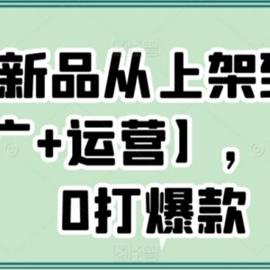电商新品从上架到打爆实操教程 新手0基础打造爆款全指南-雨叶虚拟资源网