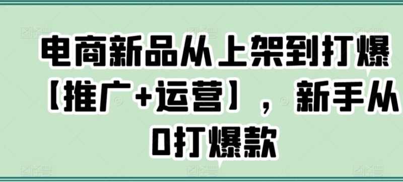 电商新品从上架到打爆实操教程 新手0基础打造爆款全指南