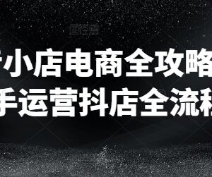 2024抖音小店新手运营全流程 从入驻到爆单完整实操攻略-雨叶虚拟资源网