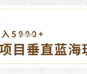 虚拟项目垂直玩法实操教程 低投入可实现单店月入5000+-雨叶虚拟资源网