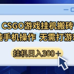 CSGO游戏搬砖副业实操攻略 小白纯手机操作无需玩游戏即可上手-雨叶虚拟资源网