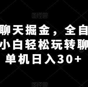 AI聊天掘金项目实操攻略 附免费全自动脚本小白可轻松上手-雨叶虚拟资源网