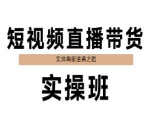 实体商家抖音短视频直播带货实操班 从定位到变现全流程教学-雨叶虚拟资源网