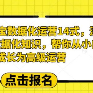 2023淘宝数据化运营14式详解 助力运营小白成长为高级运营-雨叶虚拟资源网