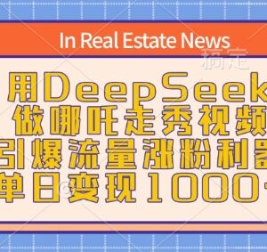 用DeepSeek制作哪吒走秀视频 涨粉变现全流程实操教程-雨叶虚拟资源网