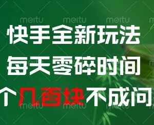 快手全新副业玩法详解 利用日常零碎时间即可获得额外收益-雨叶虚拟资源网