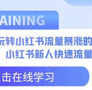 小红书新人流量破局攻略 8个实用技巧实现账号流量暴涨-雨叶虚拟资源网