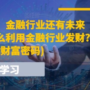 2024金融行业发展前景解读 普通人怎么通过金融合法增收-雨叶虚拟资源网