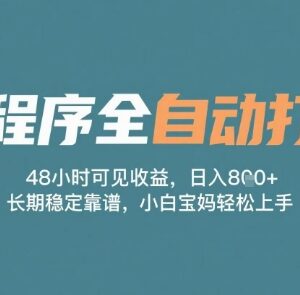 微信小程序全自动打金副业教程 零门槛上手长期稳获被动收益-雨叶虚拟资源网
