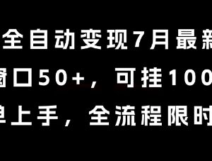 2024年7月小说全自动变现玩法 单窗收益50+支持百窗批量操作-雨叶虚拟资源网