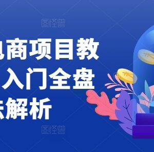 2024小红书电商0-1入门全教程 账号搭建选品运营全盘玩法解析-雨叶虚拟资源网