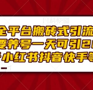 全平台通用免养号搬砖引流方法 日引200+精准粉适配抖快小红书-雨叶虚拟资源网