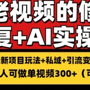 老视频修复搬砖引流长期变现项目解析 单条收益可达300+-雨叶虚拟资源网