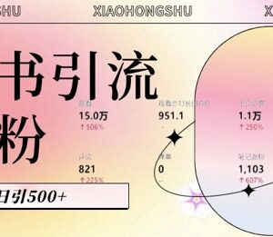 2024小红书私域引流实操教程 AI生成内容新手可日引500+创业粉-雨叶虚拟资源网