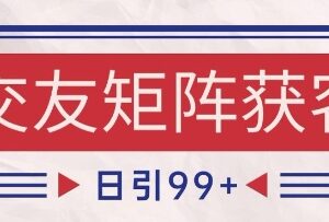 小红书抖音交友赛道自热矩阵引流获客 日引200+实操玩法拆解-雨叶虚拟资源网