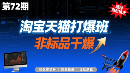 淘宝天猫打爆班第72期 非标品打爆全流程高阶实操技术教程
