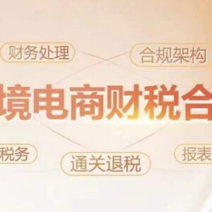 跨境电商老板财税合规特训营 规避涉税风险提升企业经营利润-雨叶虚拟资源网
