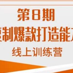 淘系可复制爆款打造能力提升班 标准化打爆款全流程教学-雨叶虚拟资源网