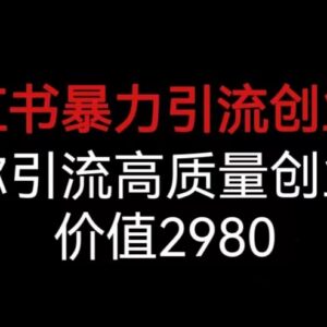 小红书高质量创业粉引流实操教程 全流程运营方法拆解-雨叶虚拟资源网