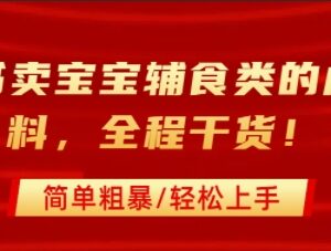小红书售卖宝宝辅食虚拟资料 从引流到私域变现全流程指南-雨叶虚拟资源网