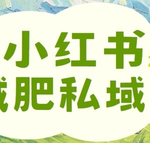 小红书减肥粉私域变现项目详解 小白易上手单收益可达210元-雨叶虚拟资源网