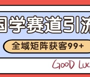 抖音小红书国学赛道引流玩法 自动矩阵日引200+实操教程-雨叶虚拟资源网