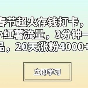 春节热门存钱打卡小红书玩法 3分钟出内容20天涨粉4000+-雨叶虚拟资源网