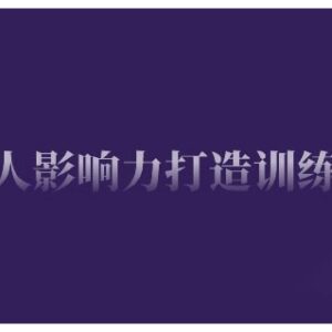 个人影响力打造训练营 从0到1掌握IP打造公域引流私域运营技能-雨叶虚拟资源网