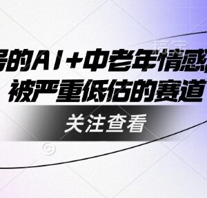 视频号AI+中老年情感赛道详解 被低估的低竞争创业方向-雨叶虚拟资源网