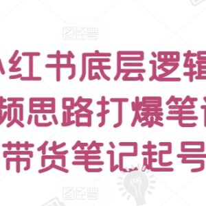 小红书底层逻辑认知提升 短视频爆笔记及纯带货起号实操教程-雨叶虚拟资源网