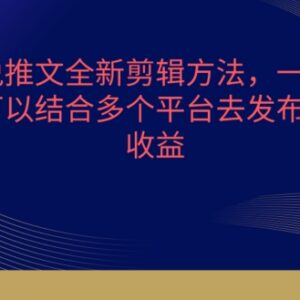 小说推文全新剪辑方法详解 多平台分发获收益实操教程-雨叶虚拟资源网