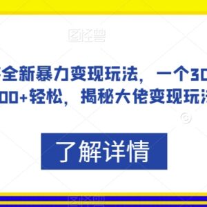 抖音手游全新变现玩法拆解 低门槛易操作盈利方法教程-雨叶虚拟资源网