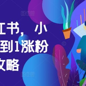 小红书从0到1运营全攻略 涨粉多模式变现实操方法详解-雨叶虚拟资源网